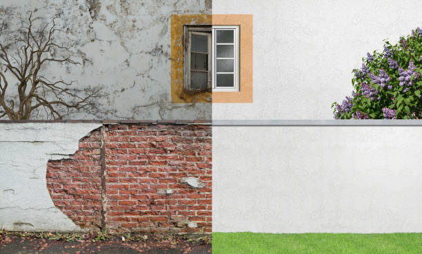 Donora, PA Mold Removal Company